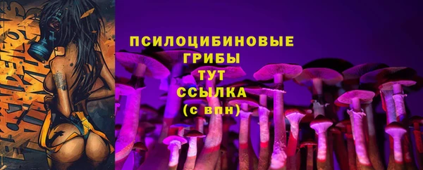 хмурый Горняк